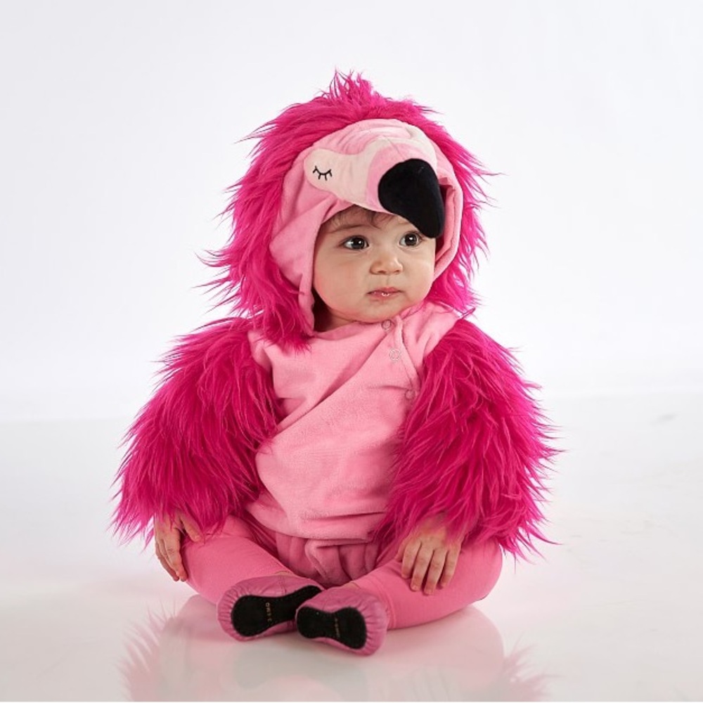 POTTERY BARN FLAMINGO BABY COSTUME